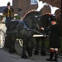 K R M Horse Drawn Carriage Services 1100883 Image 7
